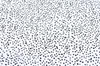 Ткань плательно-блузочная штапель, Maks Style, вискоза 100%, цвет ткани белый, черные камушки, арт. MS- 2208 D-4 C-1