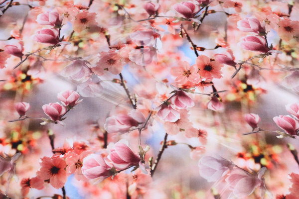 Ткань плательно-блузочная штапель, Maks Style, вискоза 100%, розовые цветы сакуры, арт. MS- 1192 D- 23