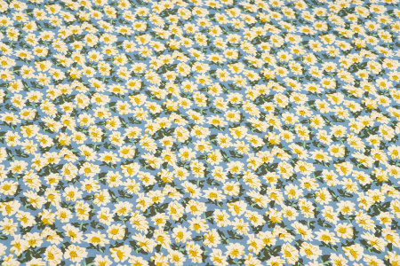 Ткань плательно-блузочная штапель, Maks Style, вискоза 100%, цветочный принт голубой, арт. MS- 2201 D-5