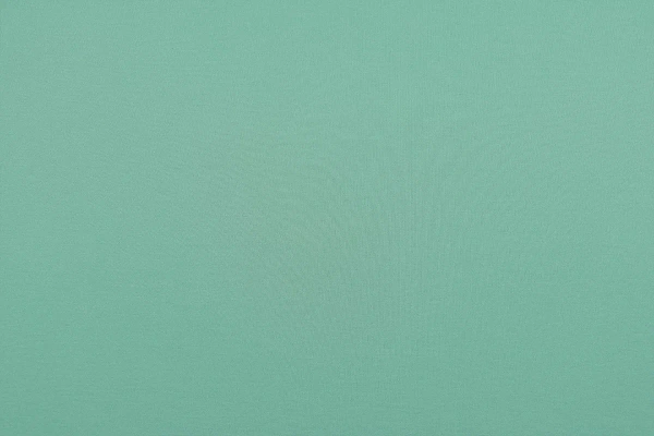 Трикотажное полотно Нейлон Рома Джерси 450 гр. Maks Style, цвет мятный, арт. 2026 D-21