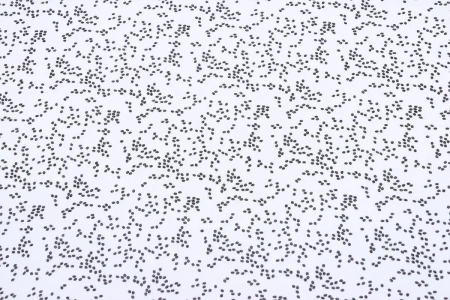 Ткань плательно-блузочная шифон,  Maks Style, горох, арт MS- 1119 D-486