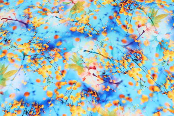 Ткань плательно-блузочная штапель, Maks Style, вискоза 100%, желтая мимоза на голубом фоне, арт. MS- 2202 D- 22