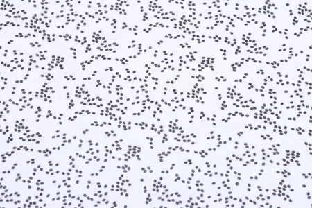 Ткань плательно-блузочная шифон,  Maks Style, горох, арт MS- 1119 D-486