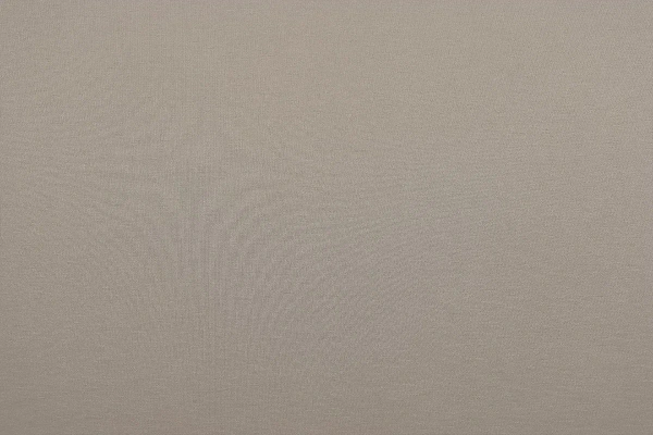 Трикотажное полотно Нейлон Рома Джерси 450 гр. Maks Style, цвет бежевый, арт. 2026 D-2