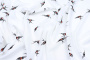 Ткань плательно-блузочная штапель, Maks Style, вискоза 100%, цвет ткани белый, ласточки, арт. MS- 2208 D-3 C-1
