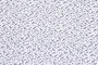 Ткань плательно-блузочная шифон, Maks Style, арт MS- 2206 D-B05Z3206 C-4