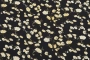 Ткань плательно-блузочная шифон, Maks Style, цветочный принт, арт MS- 1234 D-LA21001-89 C-1