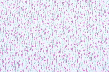 Ткань плательно-блузочная шифон, Maks Style, цветочный принт, арт MS- 1234 D-61 C-1