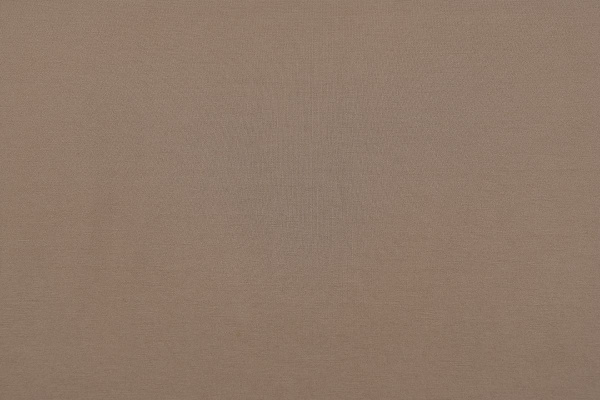 Ткань трикотажная однотонная, Нейлон Рома Джерси 520гр., Maks Style, цвет бежевый, арт. MS- 2025 D-1