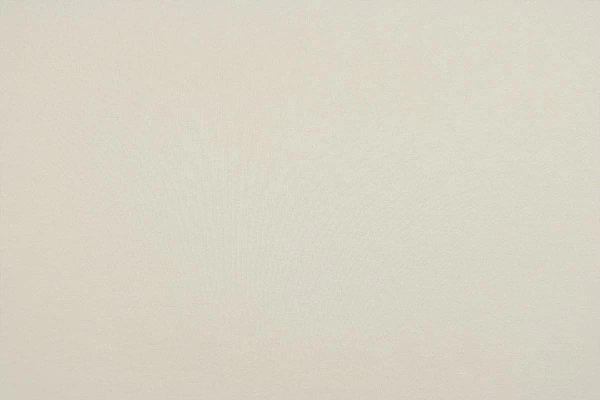 Трикотажное полотно Нейлон Рома Джерси 450 гр. Maks Style, цвет молочный, арт. 2026 D-19