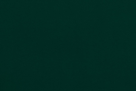 Ткань трикотажная однотонная, Нейлон Рома Джерси 520гр., Maks Style, цвет зеленый, арт. MS- 2025 D-2