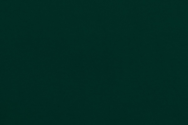 Ткань трикотажная однотонная, Нейлон Рома Джерси 520гр., Maks Style, цвет зеленый, арт. MS- 2025 D-2